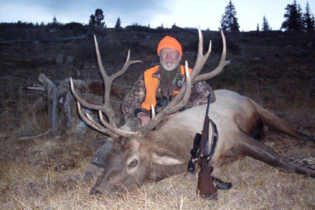 Wilderness Elk