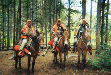 Wilderness Hunt Mules