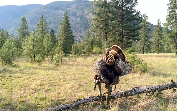 Turkey Hunts